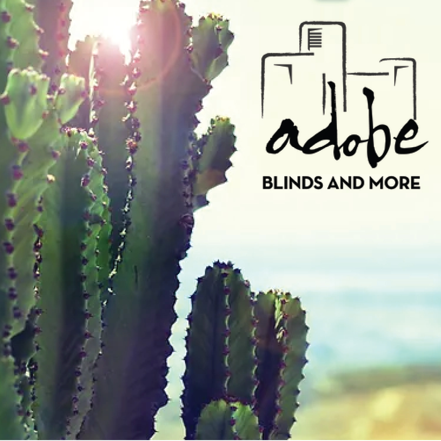 Cactus image